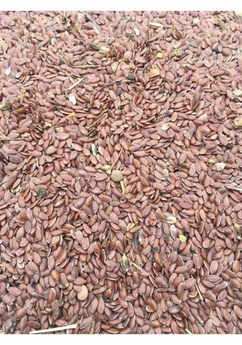 Natural Kabuksuz Keten Tohumlu Yetişkin Kuş Yemi 5 kg