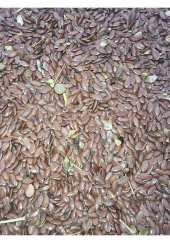 Natural Kabuksuz Keten Tohumlu Yetişkin Kuş Yemi 5 kg