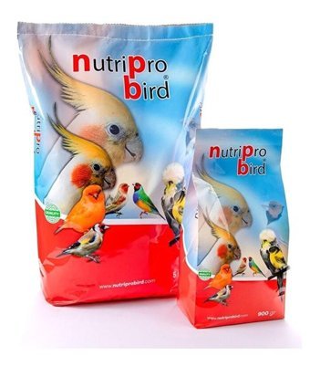 Nutri Pro Kabuksuz Aspir Tohumlu Vitaminli Standart Kuş Yemi 900 gr