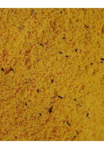 Olimpos Kabuklu Yumurtalı Vitaminli Yavru Kuş Yemi 5 kg