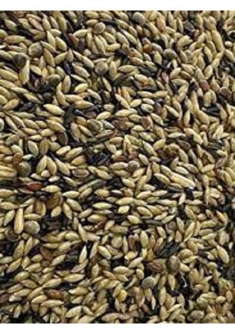 Tuana Kafes Kabuksuz Karışık Standart Kuş Yemi 500 gr
