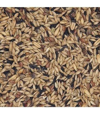 Tuana Kafes Kabuksuz Karışık Standart Kuş Yemi 500 gr
