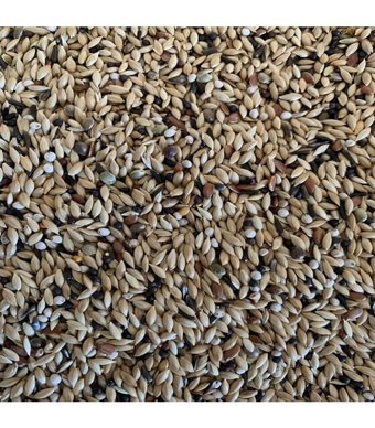 Bravo B 115 05 Kabuksuz Perillalı Yetişkin Kuş Yemi 5 kg