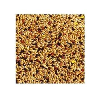 Tropifit Kabuksuz Buğdaylı - Nijer Tohumlu Standart Kuş Yemi 700 gr
