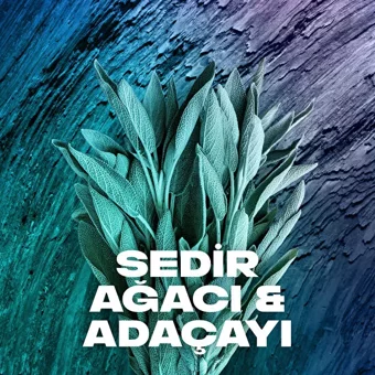 Axe Apollo Pudrasız Ter Önleyici Antiperspirant Sprey Erkek Deodorant 200 ml