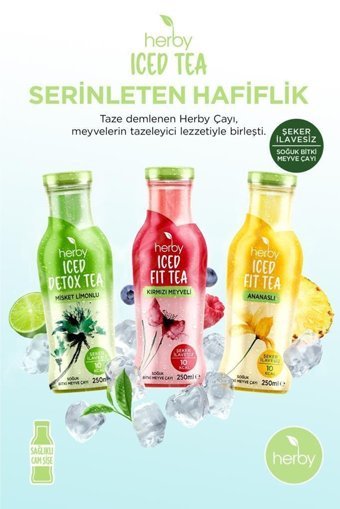 Herby Misket Limonlu-Kırmızı Meyveli-Ananaslı Soğuk Çay 6x250 ml
