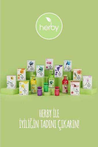 Herby Iced Detox Tea Misket Limonlu Soğuk Çay 6x250 ml