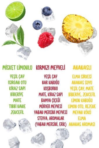 Herby Misket Limonlu-Kırmızı Meyveli-Ananaslı Soğuk Çay 24x250 ml