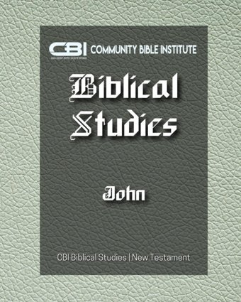 The Book Of Johncbı Biblical Studies | New Testament Holley, Dr. Gayla Independently Publıshed