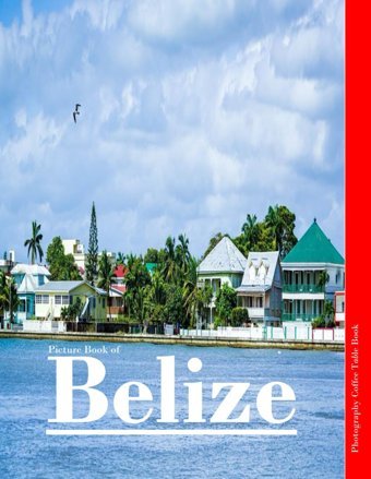 Belizea Mind-Blowing Tour In Belize Photography Coffee Table Book Tourists Attractions. Larson, Kevın Independently Publıshed