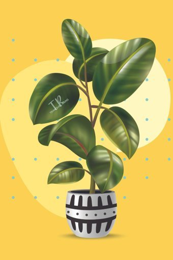 Tranquill Rainsrubber Plant Potted Tree (Whispering Leavesstories In Tranquil Rain) Rains, Tranquill Independently Publıshed