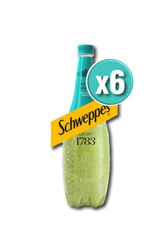 Schweppes Limonlu Pet Gazoz 6 Adet 1 lt