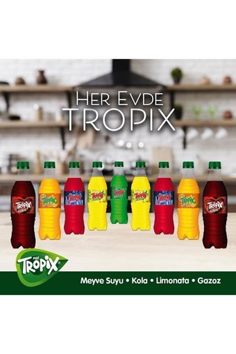 Tropix Pet Gazoz 24 Adet 250 ml