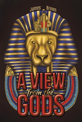 A View From The Gods Brown, James AustIn Macauley Publishers Ltd