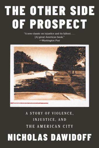 The Other Side Of Prospecta Story Of Violence, Injustice, And The American City Dawidoff, Nicholas W. W. Norton & Company