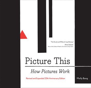 Picture This. 20Th Anniversary Editionhow Pictures Work Chronıcle Books