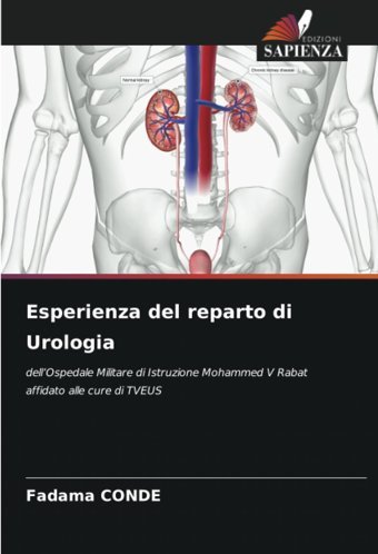 Esperienza Del Reparto Di Urologia: Dellospedale Militare Di Istruzione Mohammed V Rabat Affidato Alle Cure Di Tveus Conde, Fadama Edizioni Sapienza