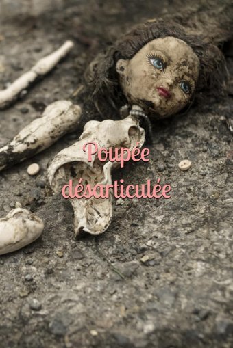 Poupe Dsarticule Nel, Jade Independently Publıshed