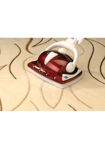 Alf BT-123 BT123 Steam Force Hero 1200 W 3.5 bar Buharlı Temizleyici