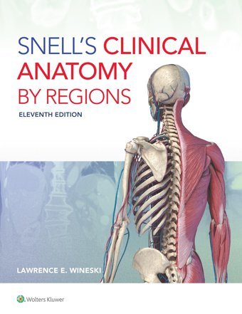 Snell'S Clinical Anatomy By Regions Wineski, Lawrence E Lippincott Williams And Wilkins