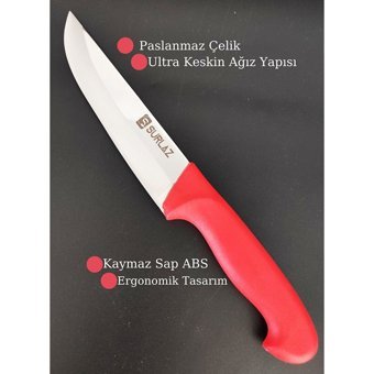 Sürlaz Kemik Kırıcı Plastik Saplı 3 Parça Düz Satır
