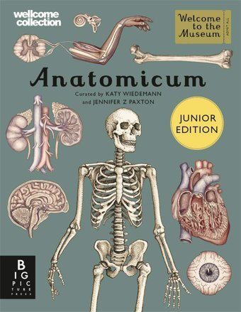 Anatomicum Junior Paxton, Jennifer Z Bonnıer