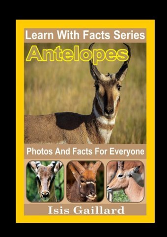 Antelopes Photos And Facts For Everyone: Animals İn Nature (Learn With Facts Series) Gaillard, Isis Learn Wıth Facts