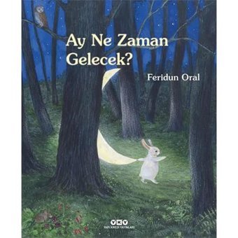 Ay Ne Zaman Gelecek? (Karton Kapak) Feridun Oral Yapı Kredi Yayınları