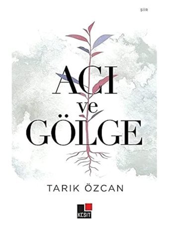 Acı ve Gölge Tarık Özcan Kesit Yayınları