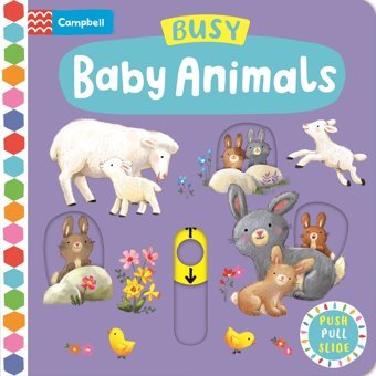 Busy Baby Animals (Campbell Busy Books, 23) Ag Jatkowska Campbell Books