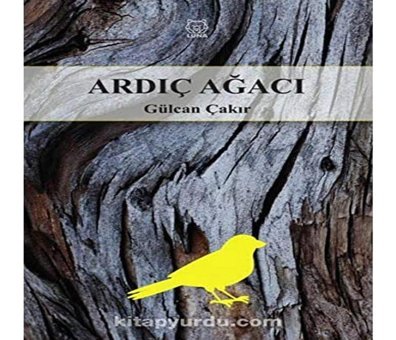 Ardıç Ağacı Gülcan Çakır Luna Yayınları