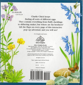 An Adventure With Charlie Chick (Peek And Find (Pgw)) Maurice Pledger Silver Dolphin Books