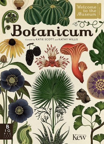 Botanicum Willis, Kathy Bonnıer