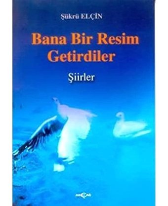 Bana Bir Resim Getirdiler Şükrü Elçin Akçağ Yayınları