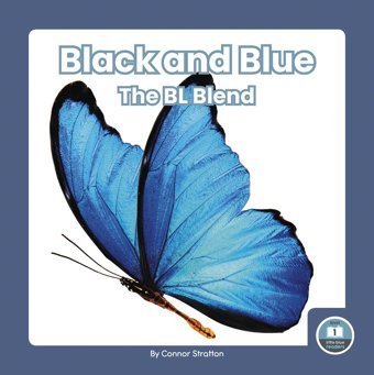 Black And Blue (On It, Phonics! Consonant Blends) Connor Stratton North Star Editions