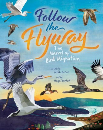 Follow The Flyway: The Marvel Of Bird Migration Nelson, Sarah Barefoot Books