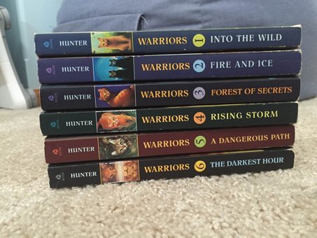 Into The Wild (Warriors (Erin Hunter)) Hunter, Erin Harper Collıns