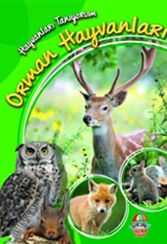 Hayvanları Tanıyorum Orman Hayvanları Yağmur Çocuk Komisyon Yağmur Çocuk