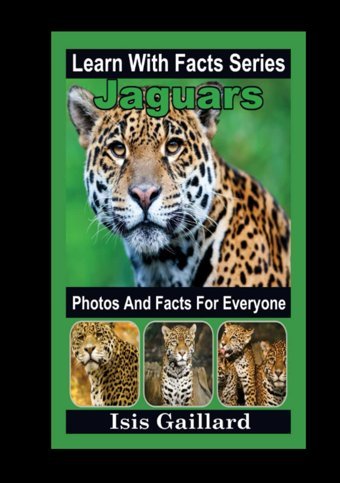 Jaguars Photos And Facts For Everyone: Animals İn Nature (Learn With Facts Series) Gaillard, Isis Learn Wıth Facts