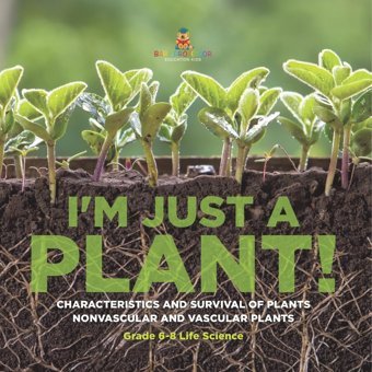 I'M Just A Plant! Characteristics And Survival Of Plants Nonvascular And Vascular Plants Grade 6-8 Life Science Baby Professor Baby Professor