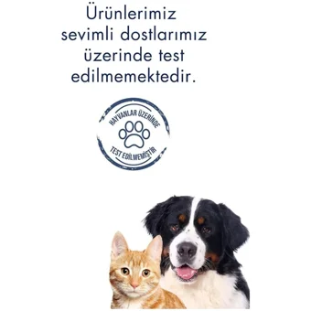 Celenes By Sweden Sea Buckthorn Pamuk Otu Özlü Tüm Ciltler Organik Vegan Parfümsüz El Kremi 75 ml
