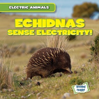Echidnas Sense Electricity! (Electric Animals) Mallory, Louis Gareth Stevens