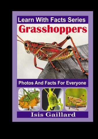 Grasshoppers Photos And Facts For Everyone: Animals İn Nature Gaillard, Isis Learn Wıth Facts