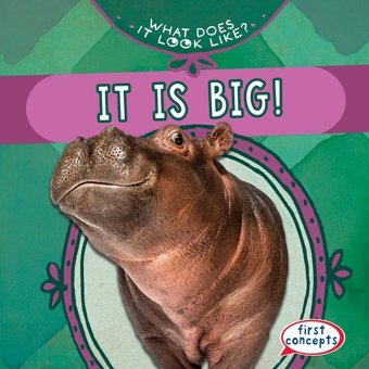 It Is Big! (What Does It Look Like?) Gottlieb, Beth Gareth Stevens