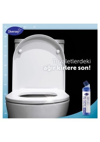 Taski Ağır Kirler Için Tuvalet Temizleyici R6 Wc 750 ml