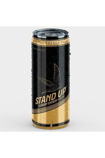 Stand Up Enerji İçeceği 24 Adet 250 ml