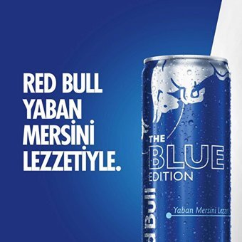Red Bull Yaban Mersini Aromalı Enerji İçeceği 250 ml