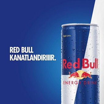 Red Bull Sporcu Enerji İçeceği 24 Adet 250 ml