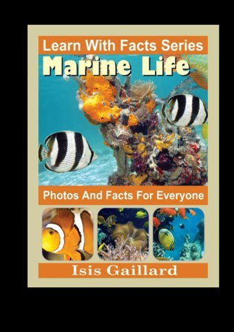 Marine Life Photos And Facts For Everyone: Animals İn Nature (Learn With Facts Series) Gaillard, Isis Learn Wıth Facts