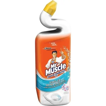 Mr. Muscle Bahar Tazeliği Tuvalet Hijyeni 750 ml